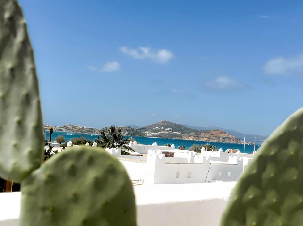 דירות Naxos City Sea View Casa מראה חיצוני תמונה